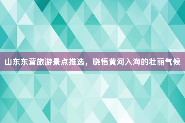山东东营旅游景点推选,晓悟黄河入海的壮丽气候